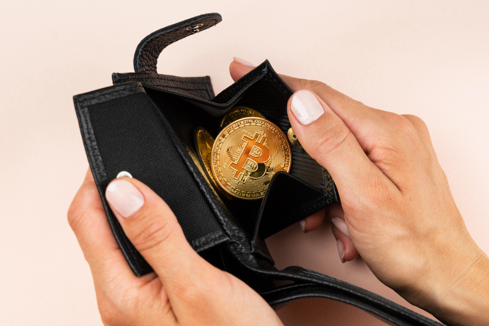 Apa Itu Cold Wallet? Definisi, Cara Kerja, dan Jenisnya